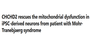 CHCHD2 rescues the mitochondrial dysfunction